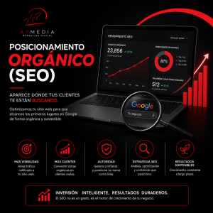 posicionamiento orgánico SEO